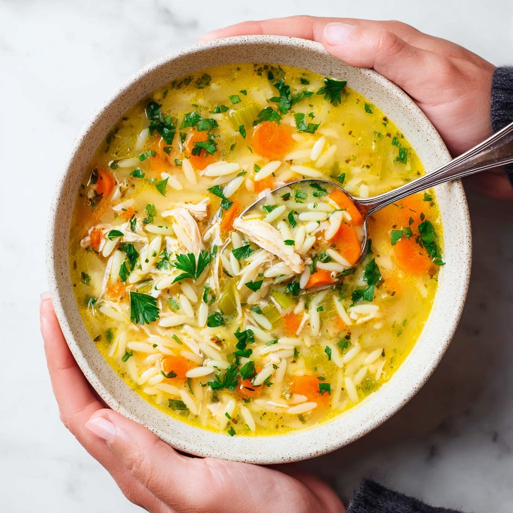 Lemon Chicken Orzo Soup Recipe - Recipe Image