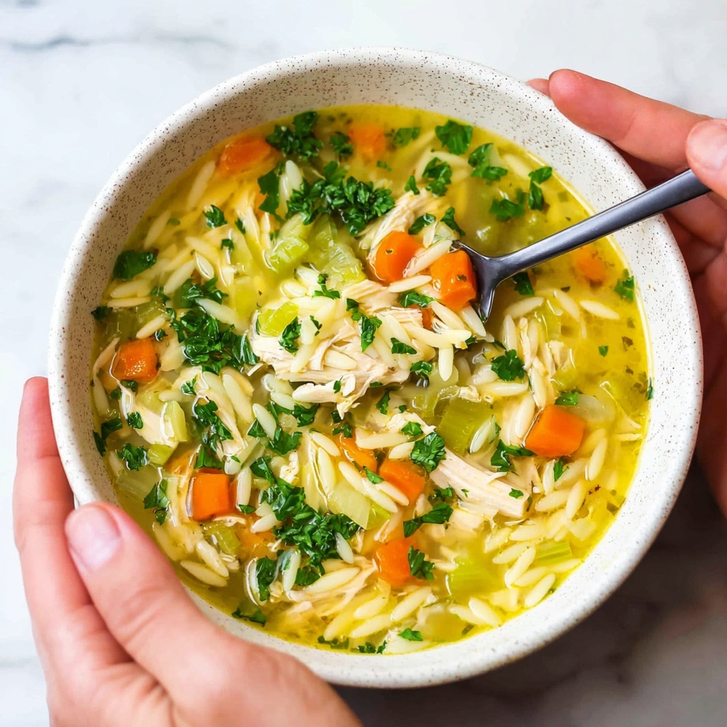 Lemon Chicken Orzo Soup Recipe - Recipe Image